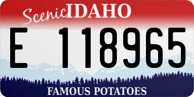 ID license plate E118965