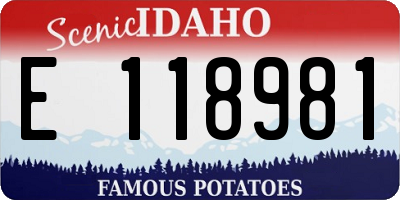 ID license plate E118981