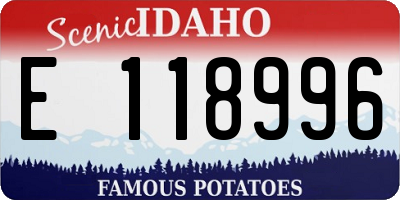 ID license plate E118996