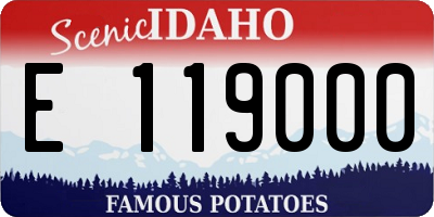 ID license plate E119000
