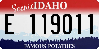 ID license plate E119011
