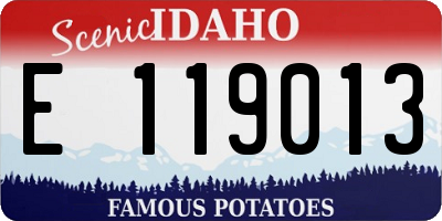 ID license plate E119013