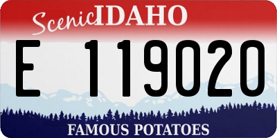 ID license plate E119020