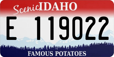 ID license plate E119022
