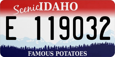 ID license plate E119032