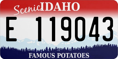 ID license plate E119043