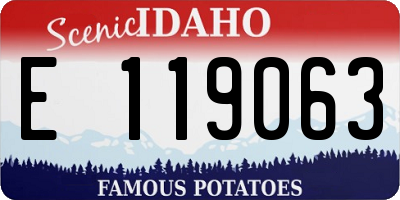 ID license plate E119063