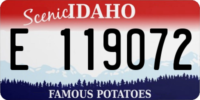 ID license plate E119072