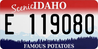 ID license plate E119080