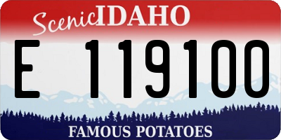 ID license plate E119100