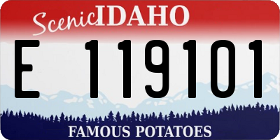 ID license plate E119101