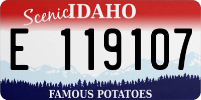 ID license plate E119107