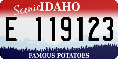 ID license plate E119123
