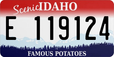 ID license plate E119124