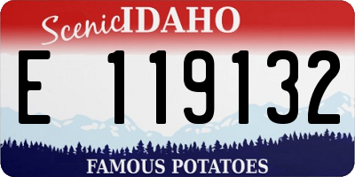 ID license plate E119132