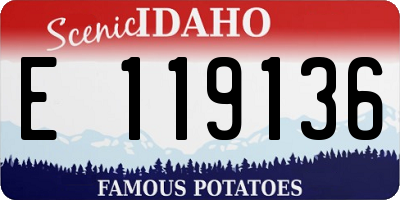 ID license plate E119136