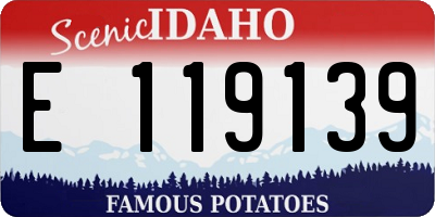ID license plate E119139