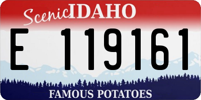 ID license plate E119161