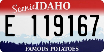 ID license plate E119167