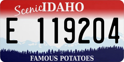 ID license plate E119204