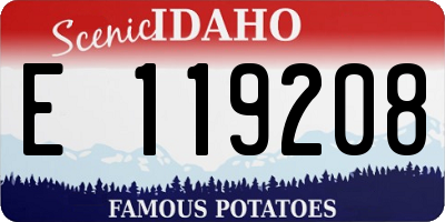ID license plate E119208
