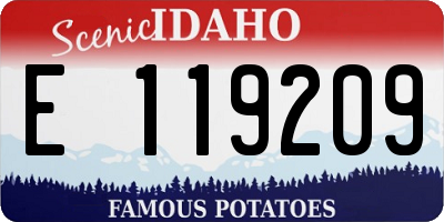 ID license plate E119209