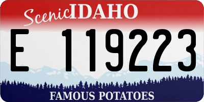 ID license plate E119223