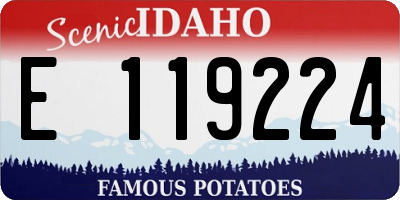 ID license plate E119224