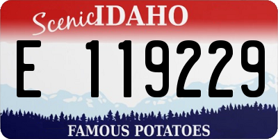 ID license plate E119229