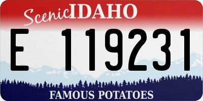 ID license plate E119231