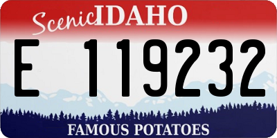 ID license plate E119232