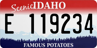 ID license plate E119234