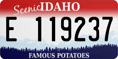 ID license plate E119237