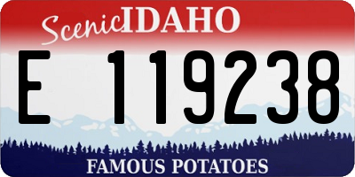 ID license plate E119238