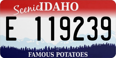 ID license plate E119239