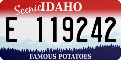 ID license plate E119242