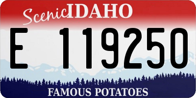 ID license plate E119250