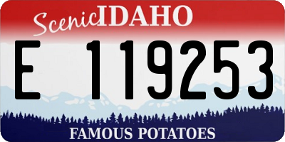 ID license plate E119253