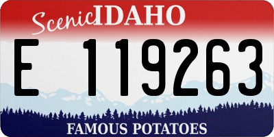 ID license plate E119263