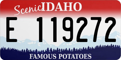 ID license plate E119272