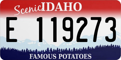ID license plate E119273