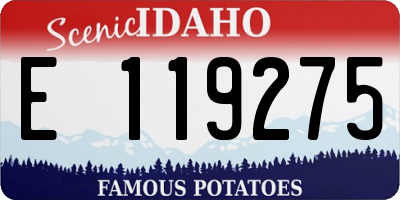 ID license plate E119275