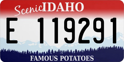 ID license plate E119291