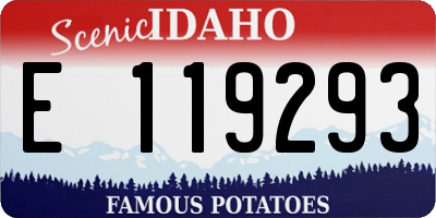 ID license plate E119293