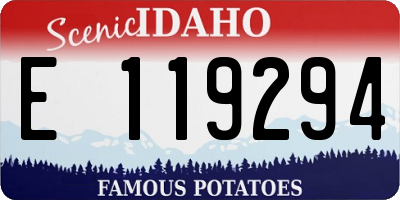 ID license plate E119294