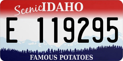 ID license plate E119295