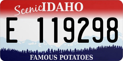 ID license plate E119298