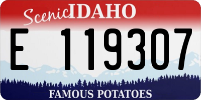 ID license plate E119307