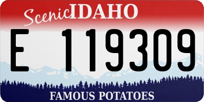 ID license plate E119309