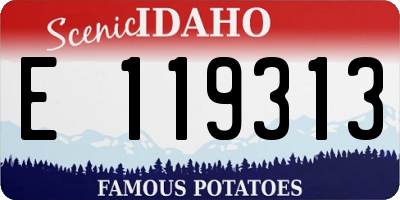 ID license plate E119313